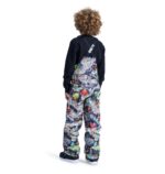 DC BOYS ROADBLOCK BIB SNOW PANT OUTER WORLD - Image 4