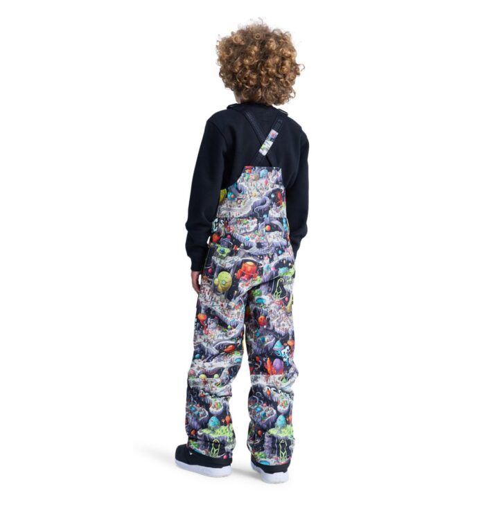 DC BOYS ROADBLOCK BIB SNOW PANT OUTER WORLD - Image 4