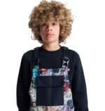 DC BOYS ROADBLOCK BIB SNOW PANT OUTER WORLD - Image 6