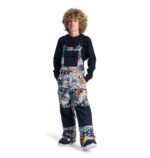 DC BOYS ROADBLOCK BIB SNOW PANT OUTER WORLD - Image 3