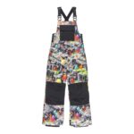 DC BOYS ROADBLOCK BIB SNOW PANT OUTER WORLD