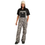 DC VALIANT BIB WOMEN SNOWBOARD PANT SNOW CAT