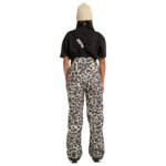 DC VALIANT BIB WOMEN SNOWBOARD PANT SNOW CAT - Image 2