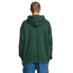 VOLCOM STONE HOODIE SCARAB - Image 2