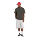 DICKIES BUCHTELL T-SHIRT BLACK - Image 6