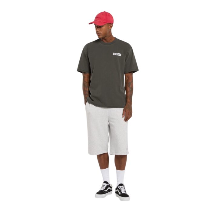 DICKIES BUCHTELL T-SHIRT BLACK - Image 6