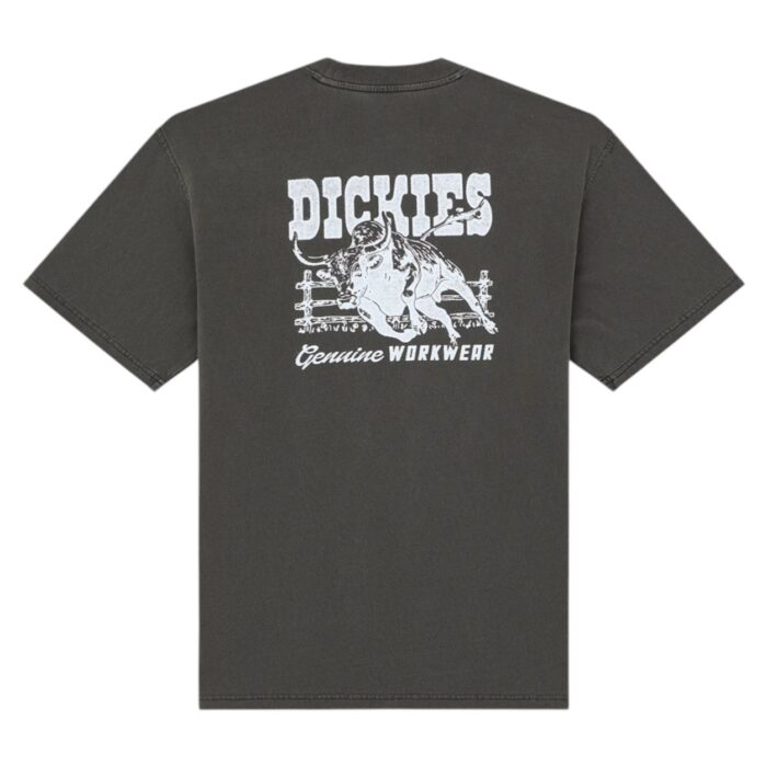 DICKIES BUCHTELL T-SHIRT BLACK - Image 8