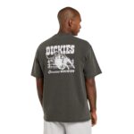 DICKIES BUCHTELL T-SHIRT BLACK - Image 2