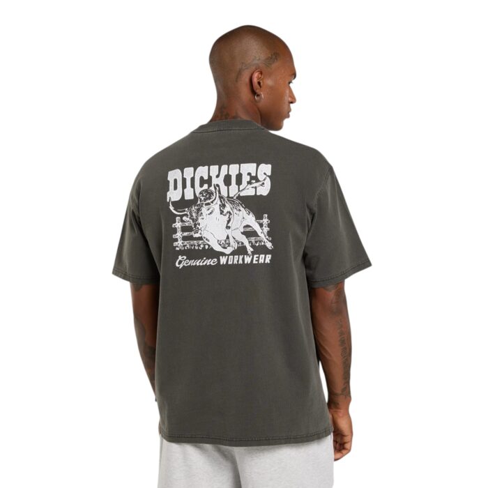 DICKIES BUCHTELL T-SHIRT BLACK - Image 2