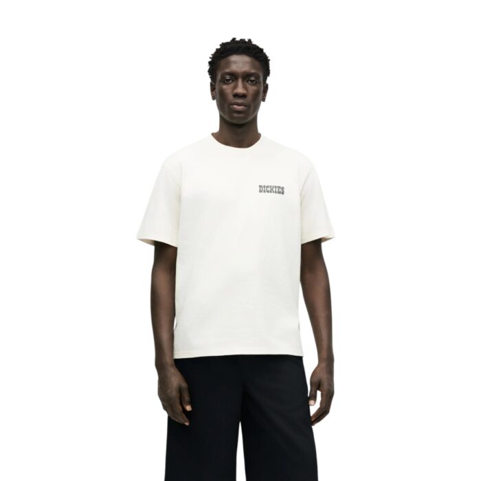 DICKIES BUCHTELL T-SHIRT EGRET - Image 4