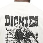DICKIES BUCHTELL T-SHIRT EGRET - Image 3