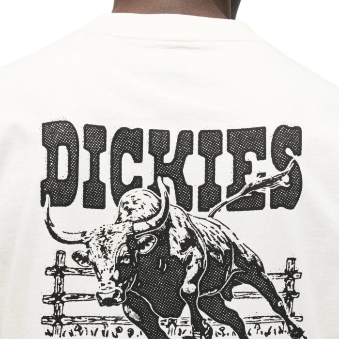 DICKIES BUCHTELL T-SHIRT EGRET - Image 3