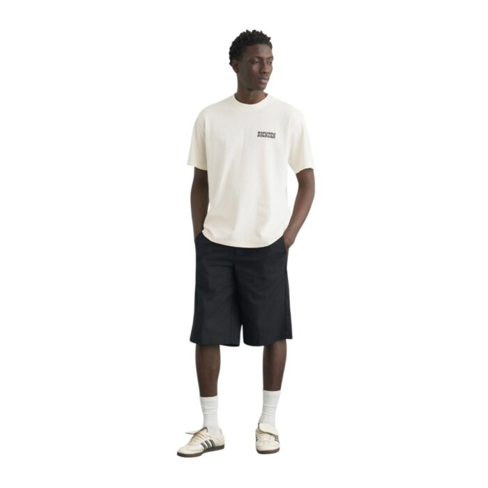 DICKIES BUCHTELL T-SHIRT EGRET - Image 6