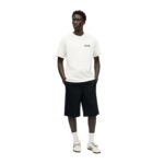 DICKIES BUCHTELL T-SHIRT EGRET - Image 7