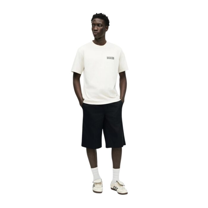 DICKIES BUCHTELL T-SHIRT EGRET - Image 7