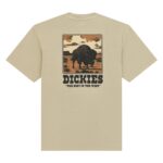 DICKIES DARRTOWN T-SHIRT BEIGE - Image 8