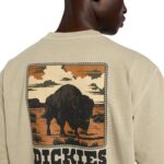 DICKIES DARRTOWN T-SHIRT BEIGE - Image 5