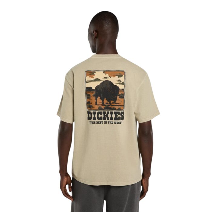DICKIES DARRTOWN T-SHIRT BEIGE - Image 2