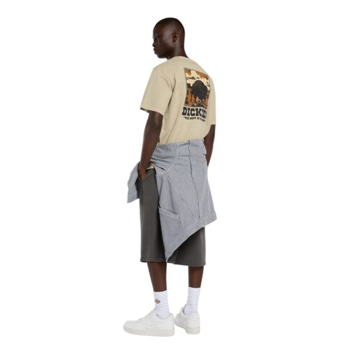 DICKIES DARRTOWN T-SHIRT BEIGE - Image 6