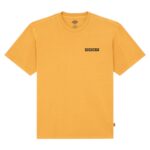 DICKIES DARRTOWN T-SHIRT SUNFLOWER - Image 7