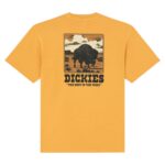 DICKIES DARRTOWN T-SHIRT SUNFLOWER - Image 8