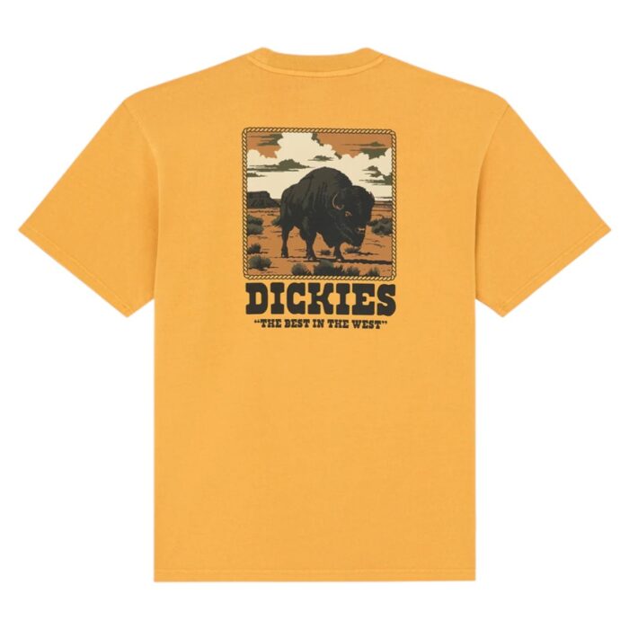 DICKIES DARRTOWN T-SHIRT SUNFLOWER - Image 8