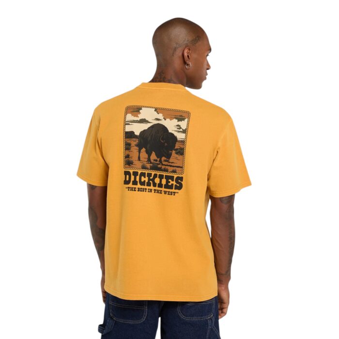 DICKIES DARRTOWN T-SHIRT SUNFLOWER - Image 2