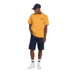 DICKIES DARRTOWN T-SHIRT SUNFLOWER - Image 6