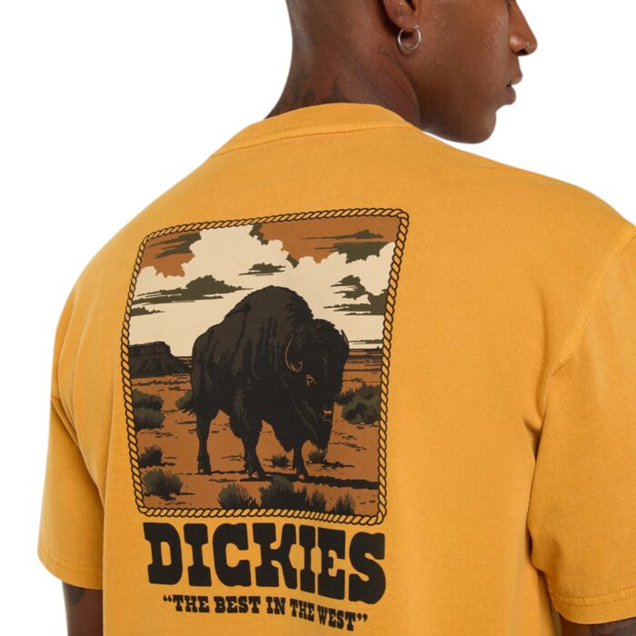 DICKIES DARRTOWN T-SHIRT SUNFLOWER - Image 3