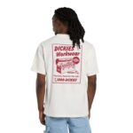 DICKIES DRY RIDGE T-SHIRT EGRET - Image 4
