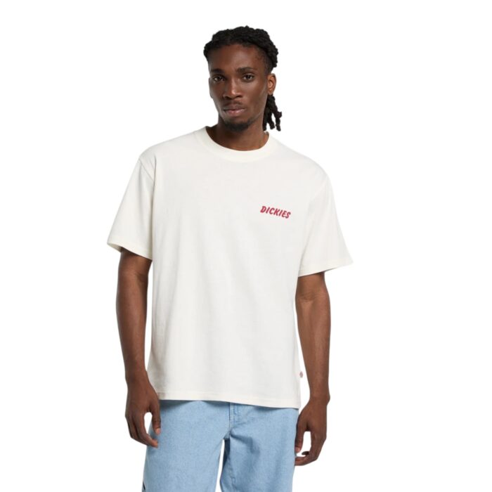 DICKIES DRY RIDGE T-SHIRT EGRET - Image 3