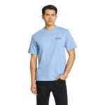 DICKIES FAIRLAWN T-SHIRT ENDLESS SKY