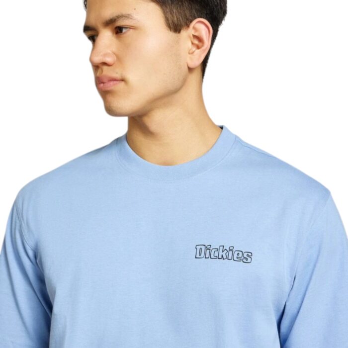 DICKIES FAIRLAWN T-SHIRT ENDLESS SKY - Image 3