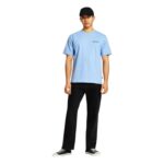 DICKIES FAIRLAWN T-SHIRT ENDLESS SKY - Image 4
