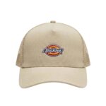 DICKIES HANSTON TRUCKER CAP EUCALYPTUS - Image 2