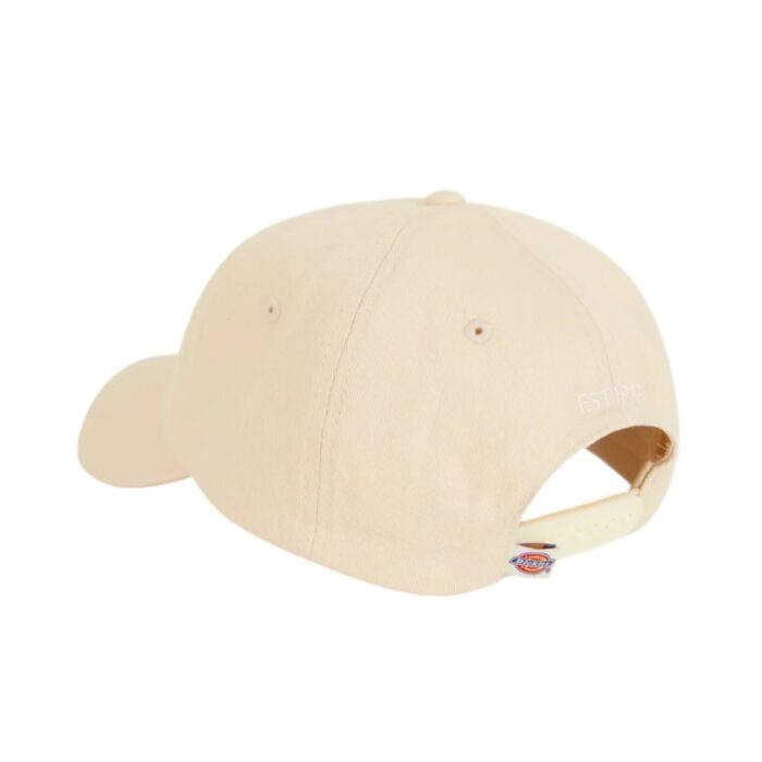 DICKIES HARDWICK CAP WHITECAP GRAY - Image 2