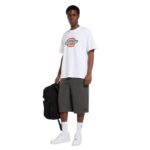 DICKIES ICON T-SHIRT WHITE - Image 3