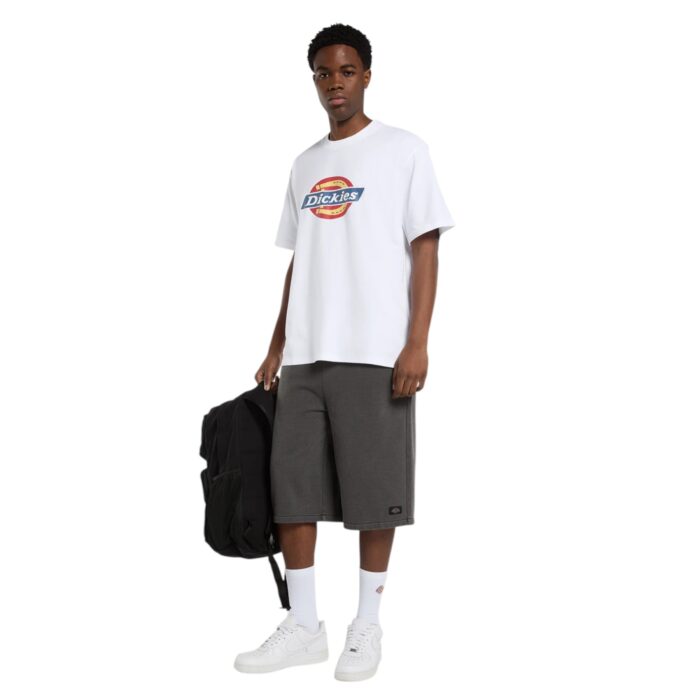 DICKIES ICON T-SHIRT WHITE - Image 3