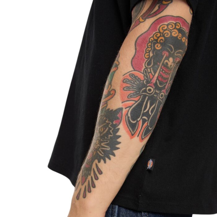 DICKIES IRONDALE T-SHIRT BLACK - Image 4