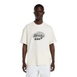 DICKIES IRONDALE T-SHIRT EGRET