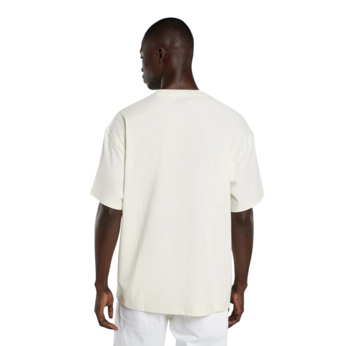 DICKIES IRONDALE T-SHIRT EGRET - Image 2