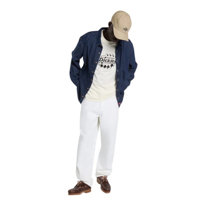 DICKIES IRONDALE T-SHIRT EGRET - Image 5