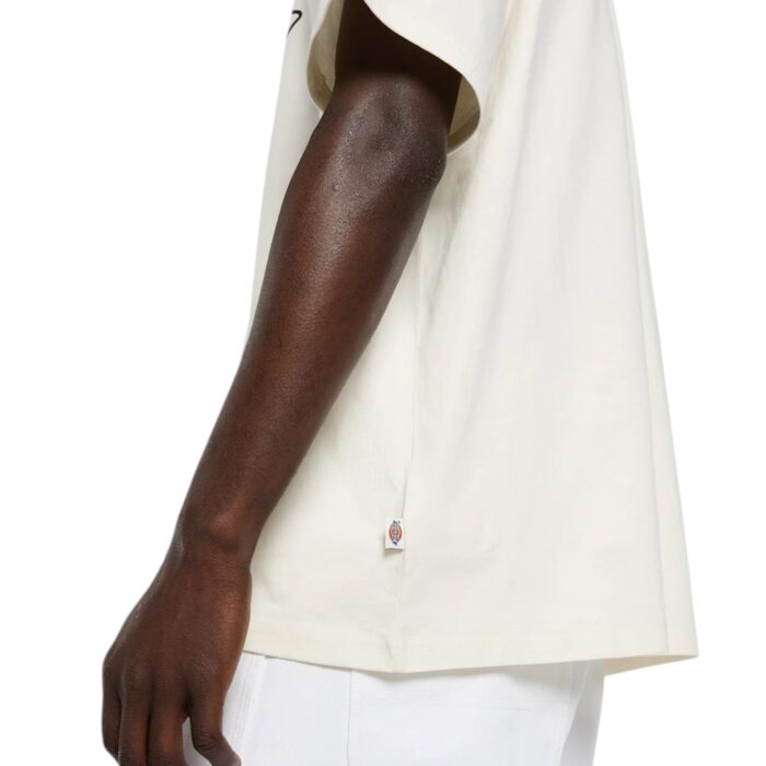 DICKIES IRONDALE T-SHIRT EGRET - Image 4