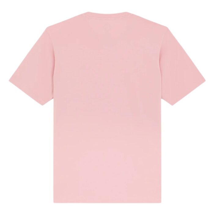 DICKIES MAPLETON T-SHIRT BRIDAL ROSE - Image 2