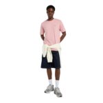 DICKIES MAPLETON T-SHIRT BRIDAL ROSE - Image 6