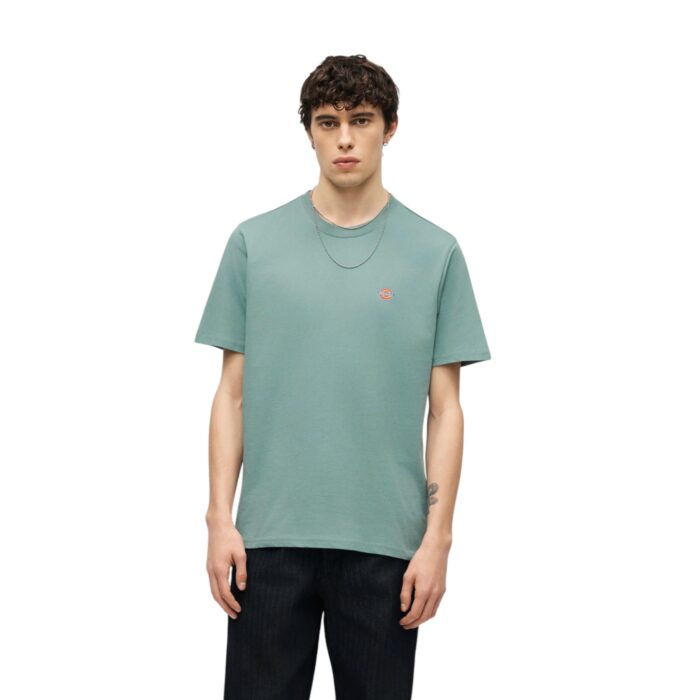 DICKIES MAPLETON T-SHIRT STORMY SEA - Image 3