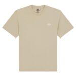 DICKIES SUMMERDALE T-SHIRT EUCALYPTUS