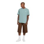 DICKIES SUMMERDALE T-SHIRT STORMY SEA - Image 6