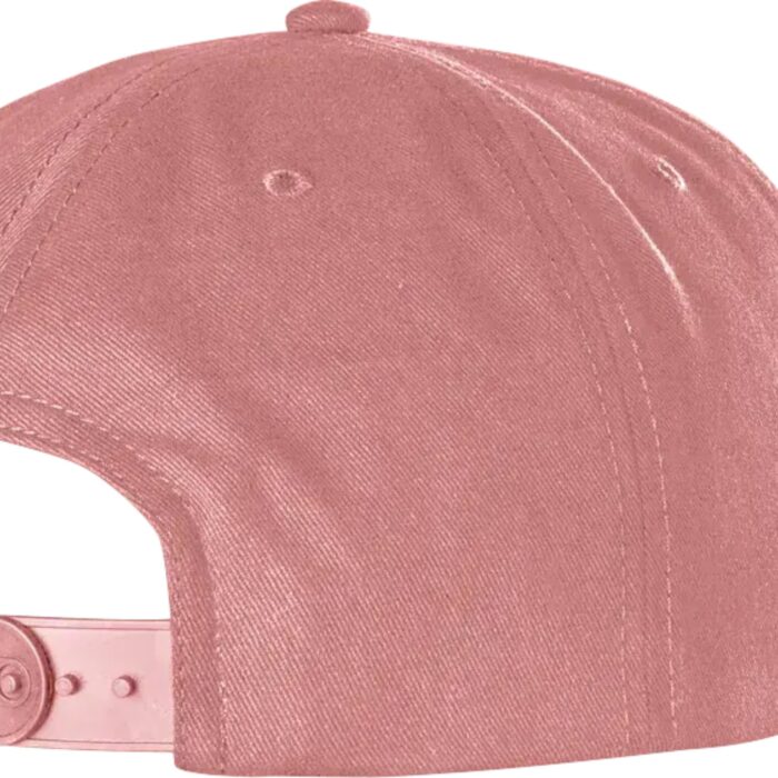 ETNIES ICON EMBROIDERY SNAPBACK HAT PINK - Image 2