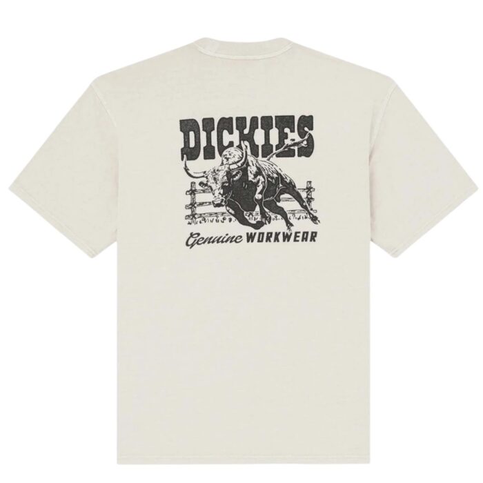 DICKIES BUCHTELL T-SHIRT EGRET - Image 2